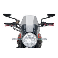 Puig Naked Screen For Kawasaki Z900RS/SE (2018 - Onwards) - Smoke